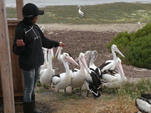 Resthaven Retreat Kangaroo Island
