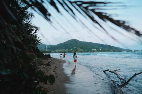 Apartamento Bilimbi Beachfront Farmstay W Pool