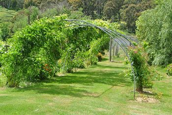 Hostal Hamlet Downs Country Accommodation