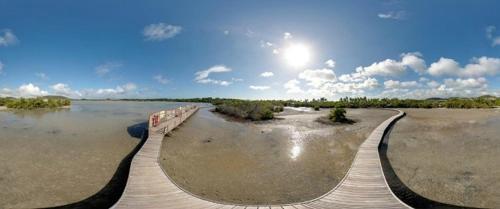 Apartamento Holidays In Martinique - Ravenala