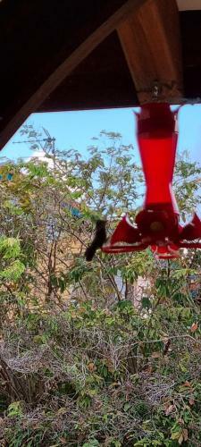 Apartamento Hameau de Beauregard Le Colibri