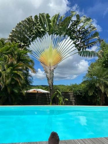 Apartamento La Fleur Des Cara�bes