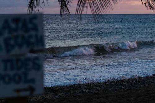 Apartamento Garza Beachfront Private Farmstay