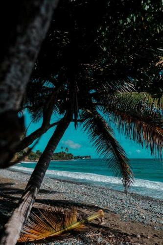 Apartamento Garza Beachfront Private Farmstay