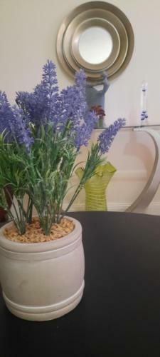 Apartamento Tj Ch�teau Airbnb