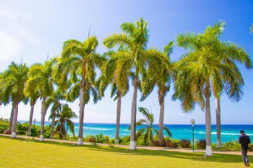 Apartamento Beach Dream 1 Bedroom @ Seacastles