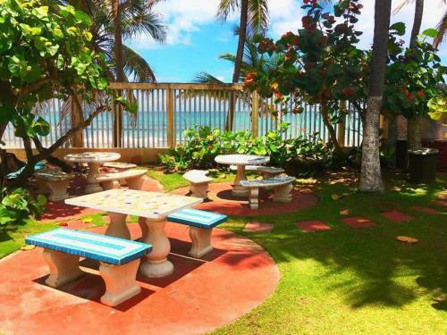 Apartamento Kasa Las Palmas Studio Apt For 2 Ocean View Beachfront Condo Pool