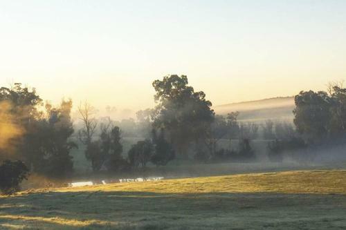 Myrtlemae Farm