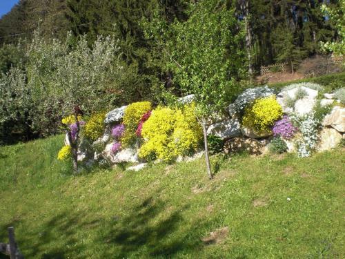 Apartamento Ferienwohnungen Eggarter