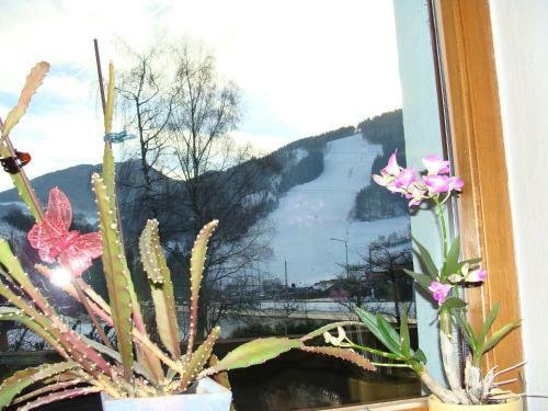 Apartamento Appartement-reiteralm