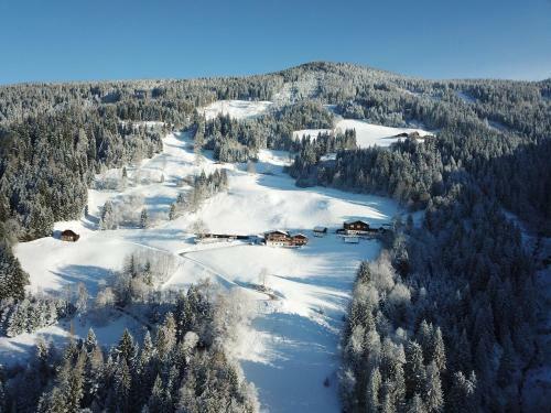 Agroturismo Pension Bergbauernhof Irxner
