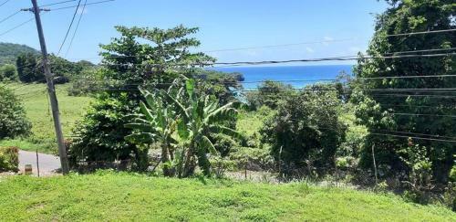 Bed & Breakfast Toga Guest House