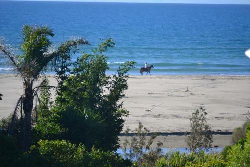 Ahipara Goldensands