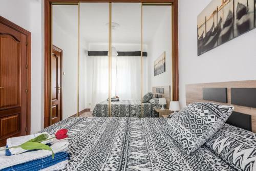 Apartamento Segalerva Centro