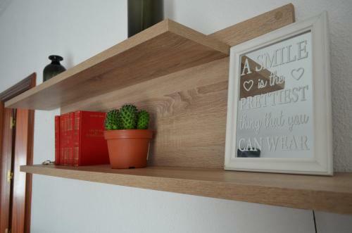 Apartamento Segalerva Centro