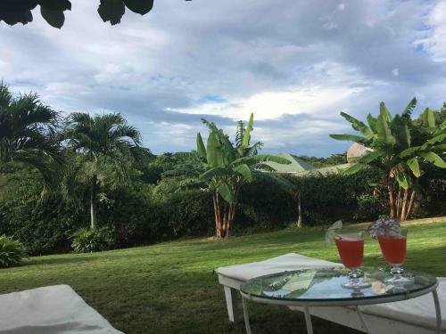 Villa Exodus Retreat