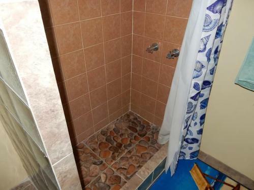 Apartamento Coral Turtle- Beach House