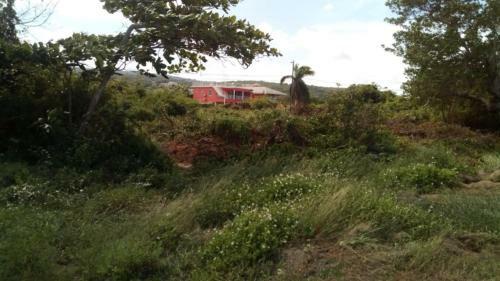 Apartamento Coral Turtle- Beach House