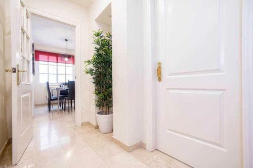 Gran Apartamento Junto A Catedral M�lagasimple