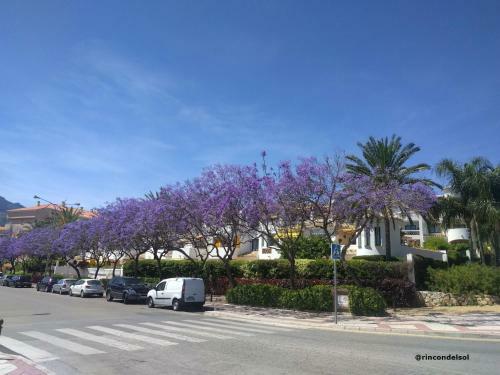 Apartamento Pueblo Del Parque