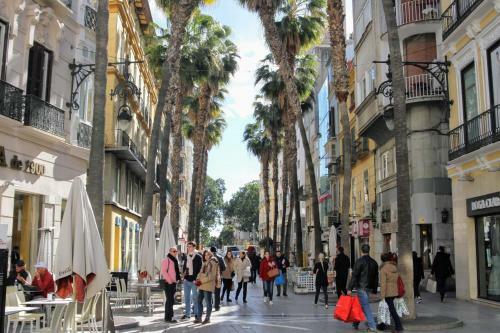 Apartamento Homely M�laga Atarazanas