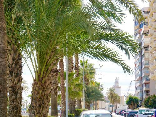 Apartamento Smart Malagueta Seaview