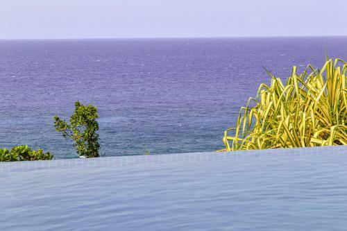 Luxury Living With A View La Caye Villa