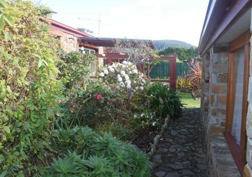 The Studio - Tidelines Of Bicheno