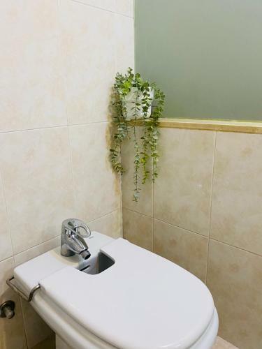 Apartamento Malagueta Beach Premium
