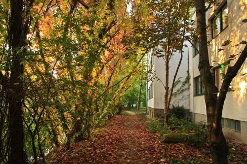 Hotel Klaus Im Weinviertel