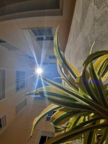 Apartamento Flat Malaga Centro