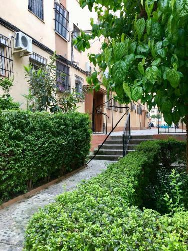 Apartamento Flores