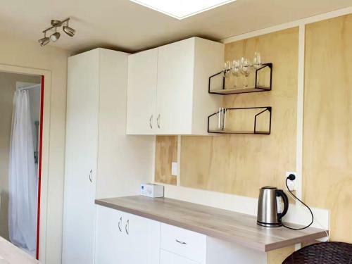 Dunedin Luxurious Retreat Cabin