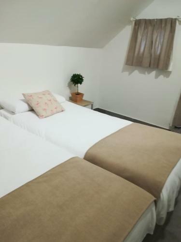 Apartamentos El Marques