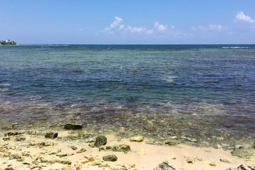 Apartamento Akumal Paradise Private Studio - Wifi, AC