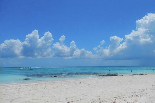 Apartamento Akumal Paradise Private Studio - Wifi, AC