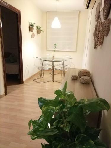 Royalhomes Apartamento M�laga Picasso