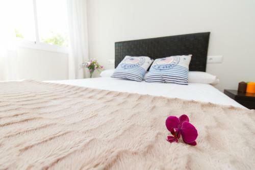 Charming Apartment In Pedregalejo