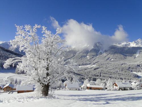 Chalet Eresma Hohentauern