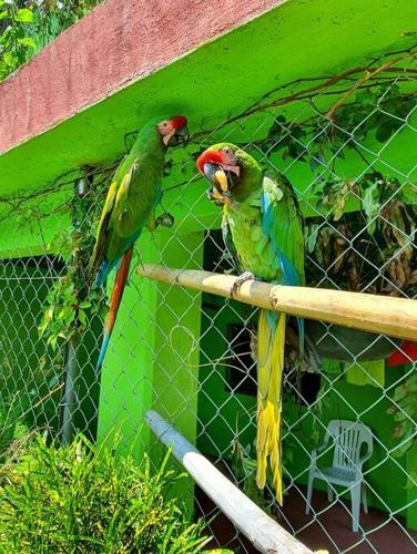 Casa En Renta En Morelos