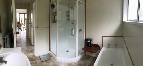Ponga B&B