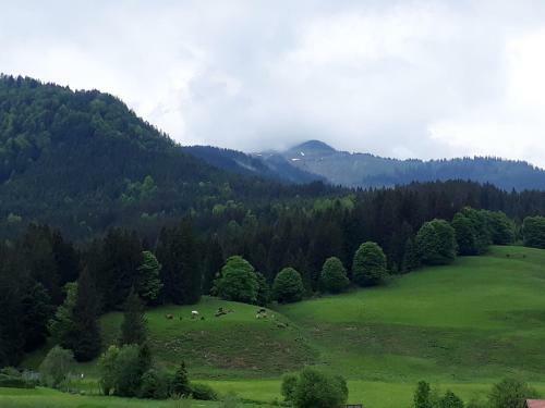 Apartamento Ferienwohnung Stubenb�ck