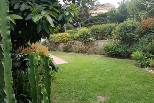 Villa Africa