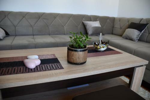 Apartman Vesna