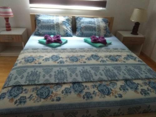 Apartman Vesna