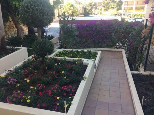 Apartamento Romana Playa Estudio