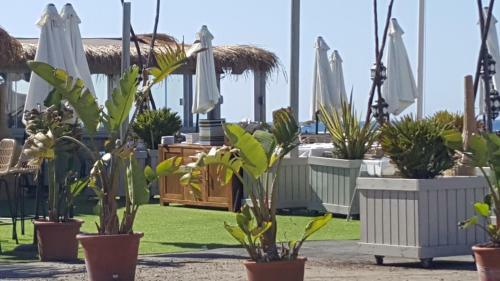 Apartamento Las Dunas de Carib Playa
