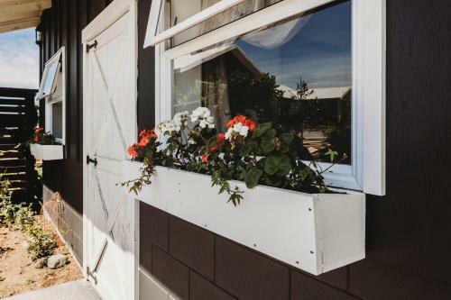 Dorset Stable House