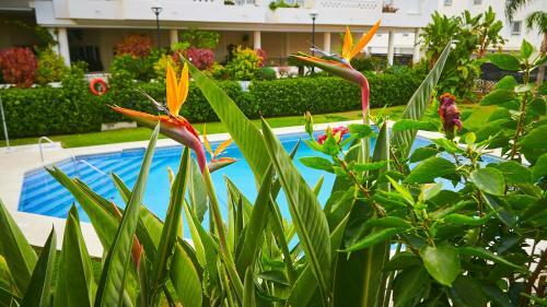 Apartamento San Pedro Del Mar