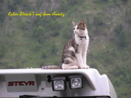 Hostal Pension Oberm�hle